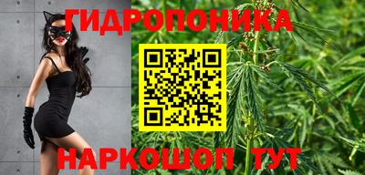гидра Тара